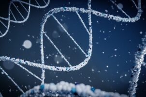 DNA organizacji